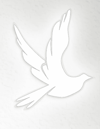 Terri Marie (Staples) Shinabery Obituary